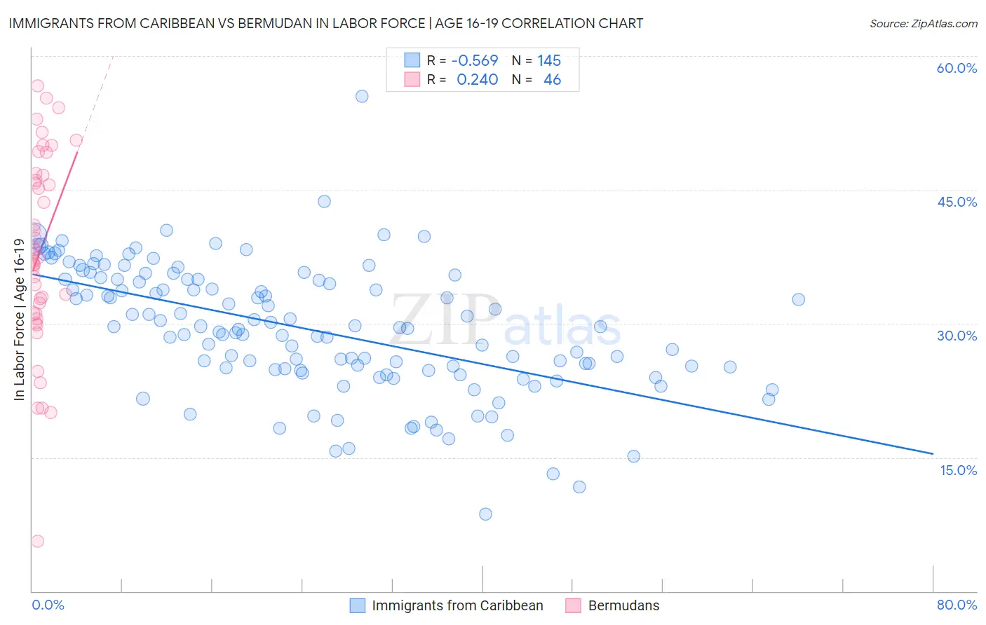 Immigrants from Caribbean vs Bermudan In Labor Force | Age 16-19