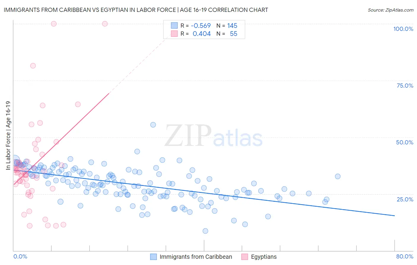 Immigrants from Caribbean vs Egyptian In Labor Force | Age 16-19