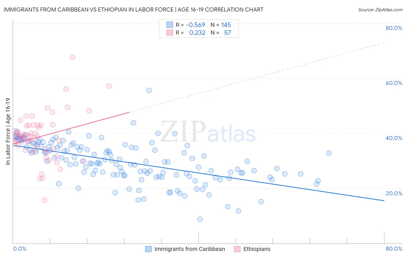 Immigrants from Caribbean vs Ethiopian In Labor Force | Age 16-19
