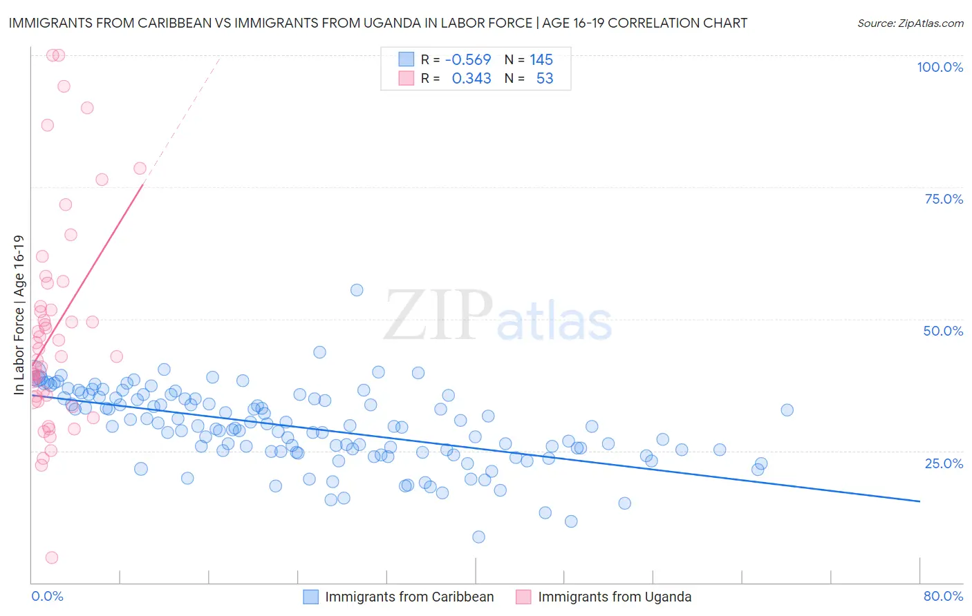 Immigrants from Caribbean vs Immigrants from Uganda In Labor Force | Age 16-19