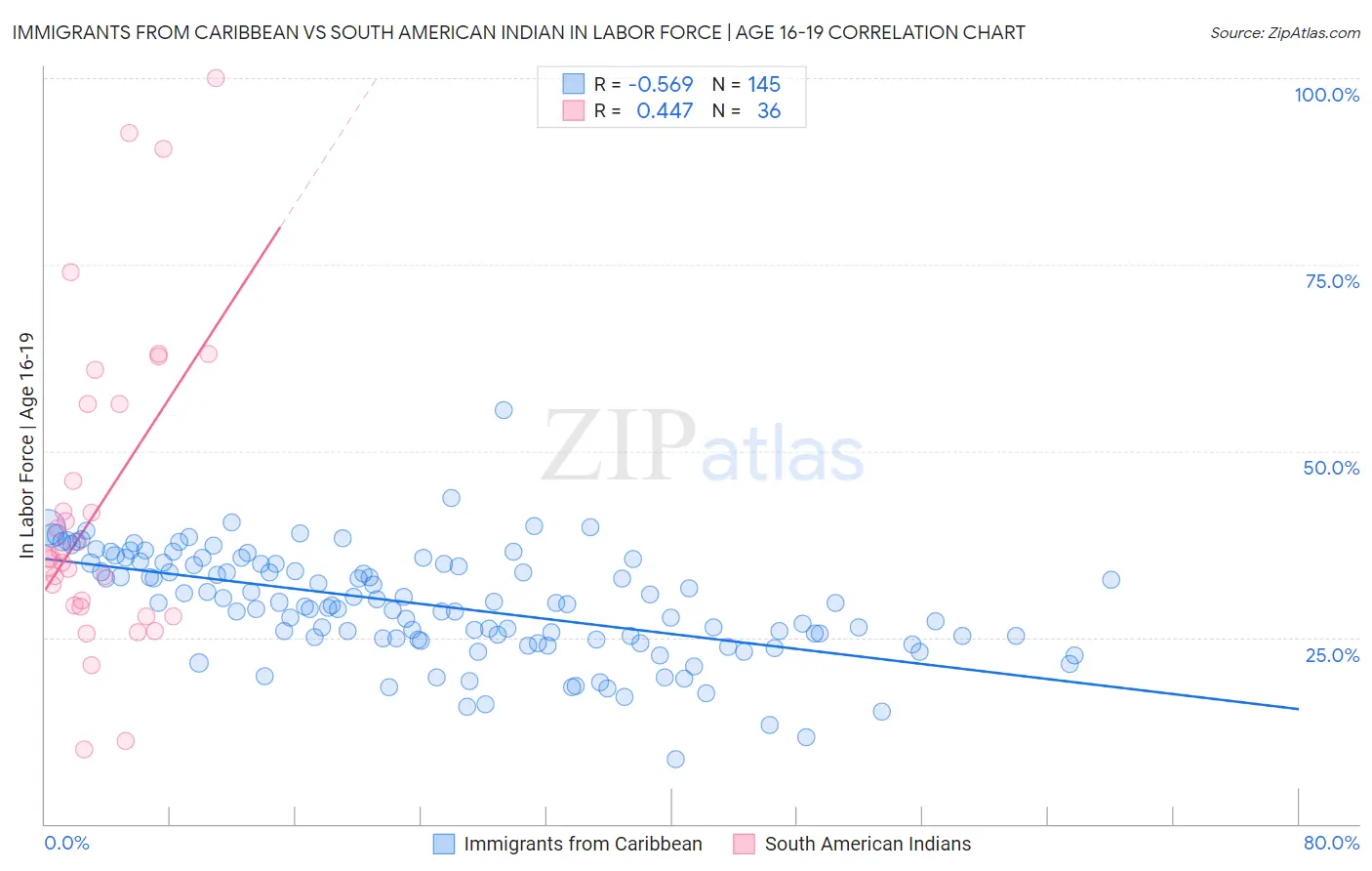 Immigrants from Caribbean vs South American Indian In Labor Force | Age 16-19