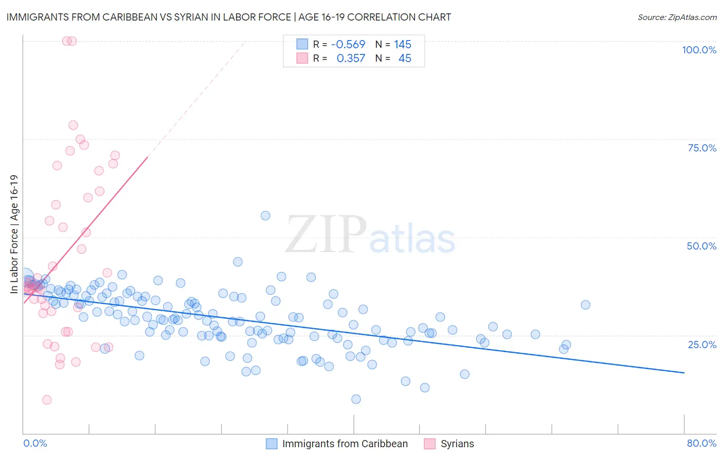 Immigrants from Caribbean vs Syrian In Labor Force | Age 16-19