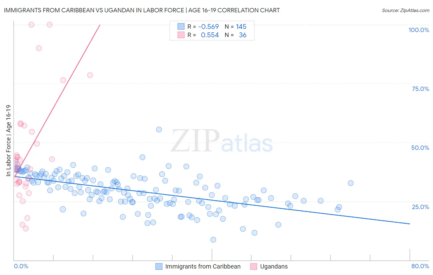 Immigrants from Caribbean vs Ugandan In Labor Force | Age 16-19
