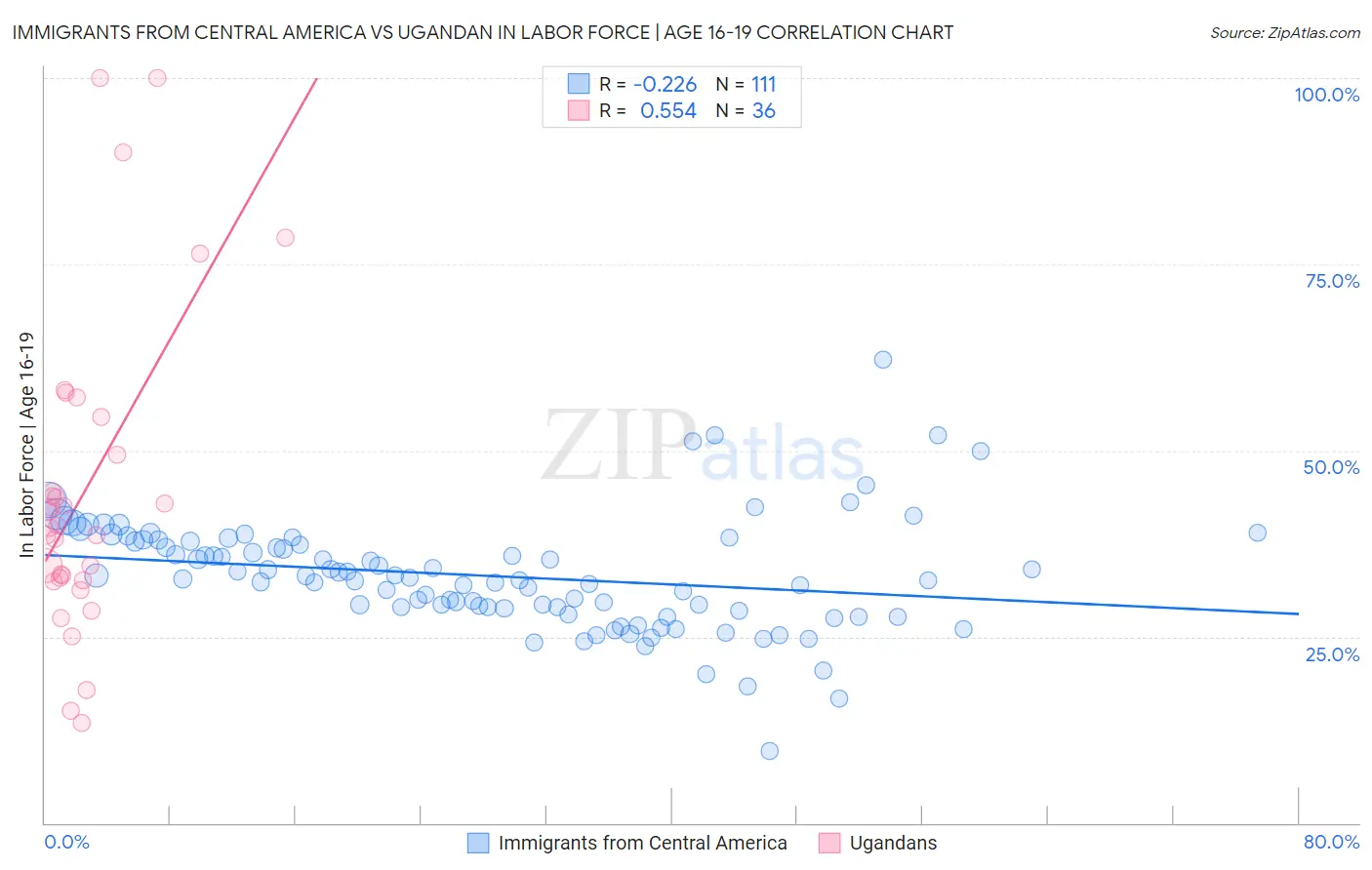 Immigrants from Central America vs Ugandan In Labor Force | Age 16-19