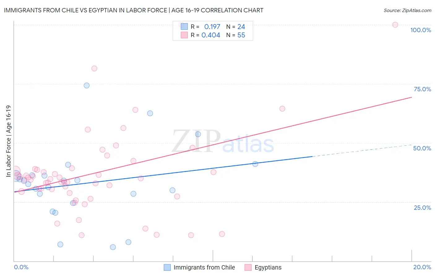 Immigrants from Chile vs Egyptian In Labor Force | Age 16-19