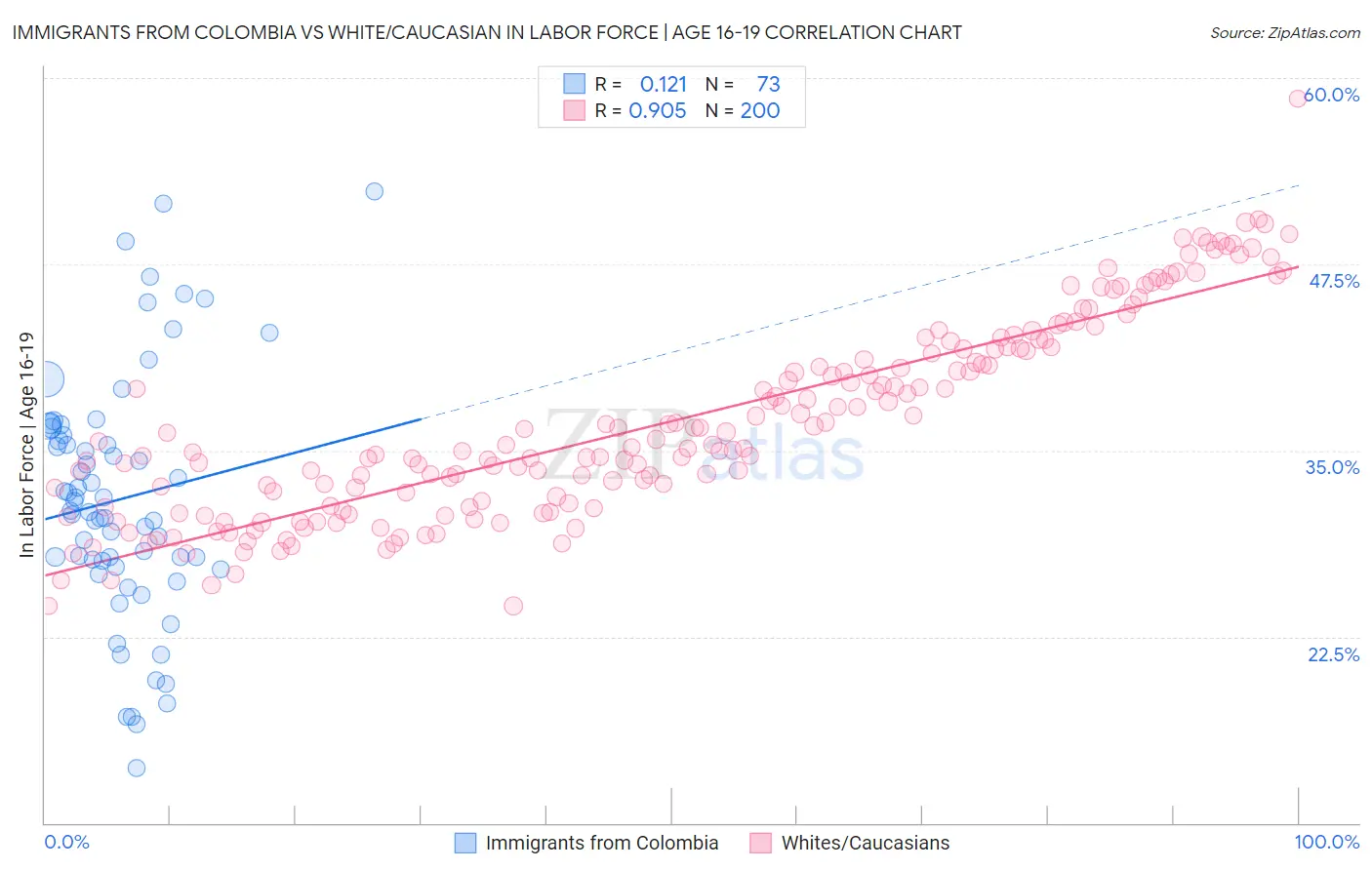 Immigrants from Colombia vs White/Caucasian In Labor Force | Age 16-19