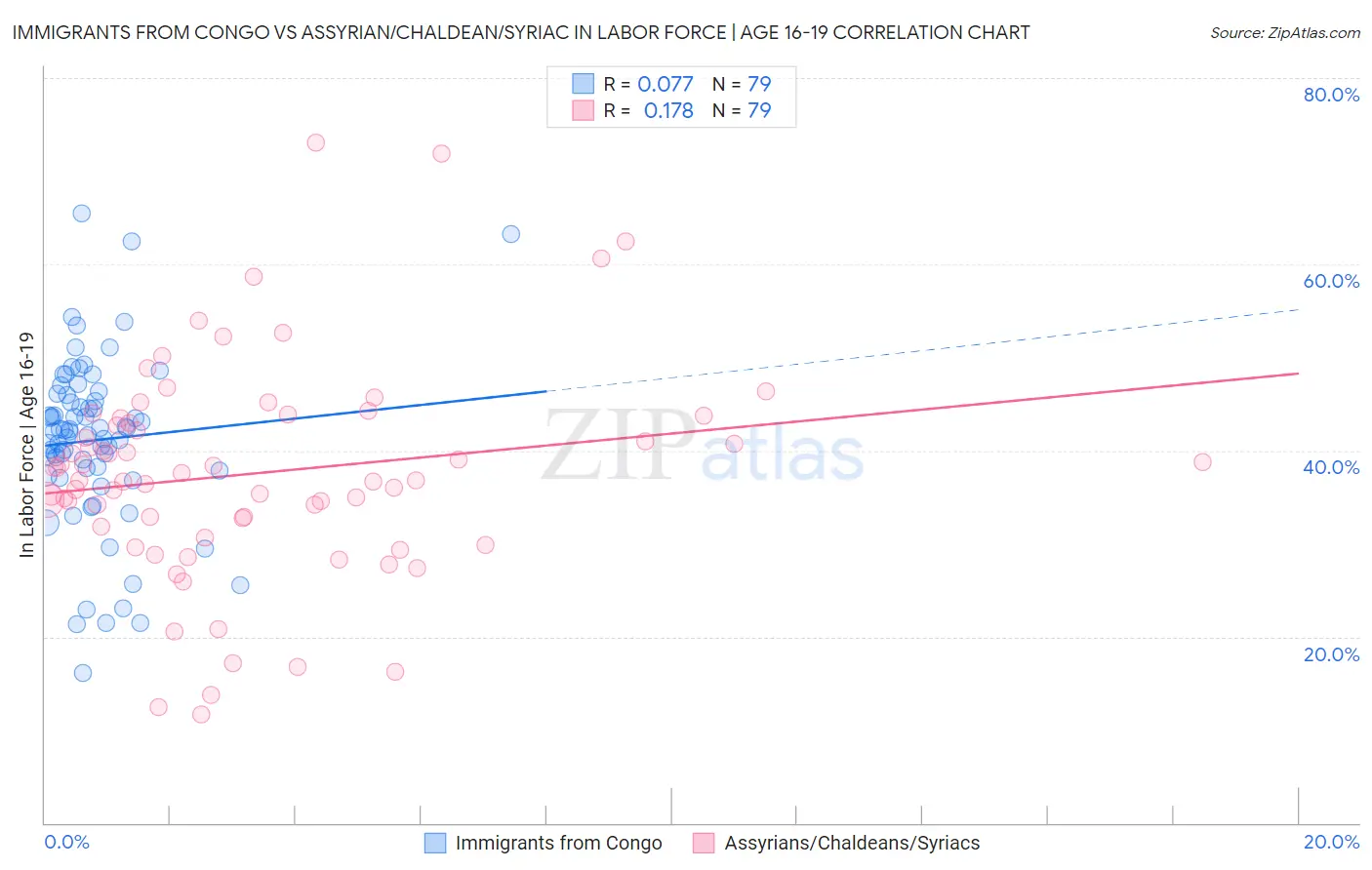 Immigrants from Congo vs Assyrian/Chaldean/Syriac In Labor Force | Age 16-19