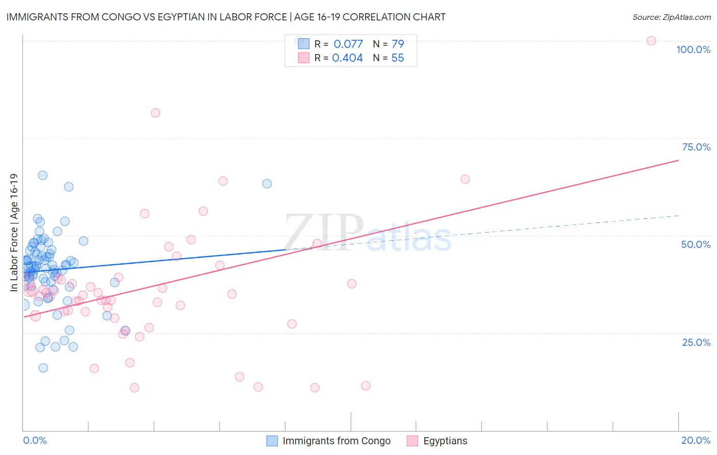 Immigrants from Congo vs Egyptian In Labor Force | Age 16-19