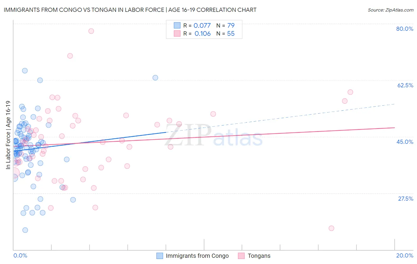Immigrants from Congo vs Tongan In Labor Force | Age 16-19
