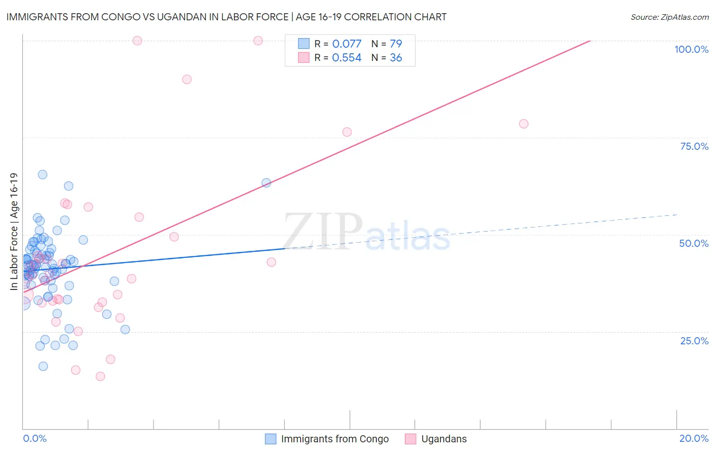 Immigrants from Congo vs Ugandan In Labor Force | Age 16-19