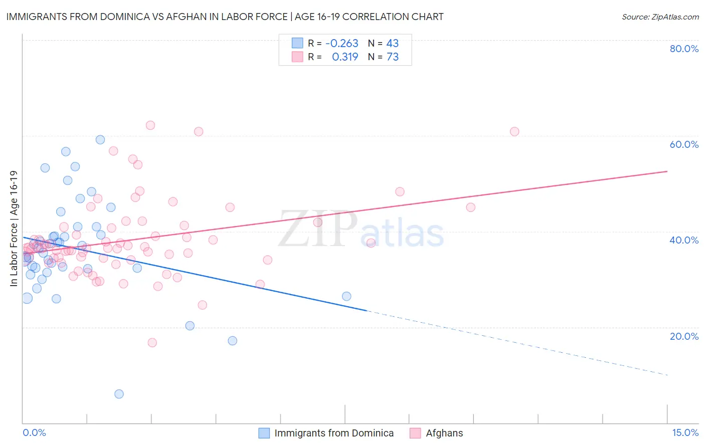 Immigrants from Dominica vs Afghan In Labor Force | Age 16-19
