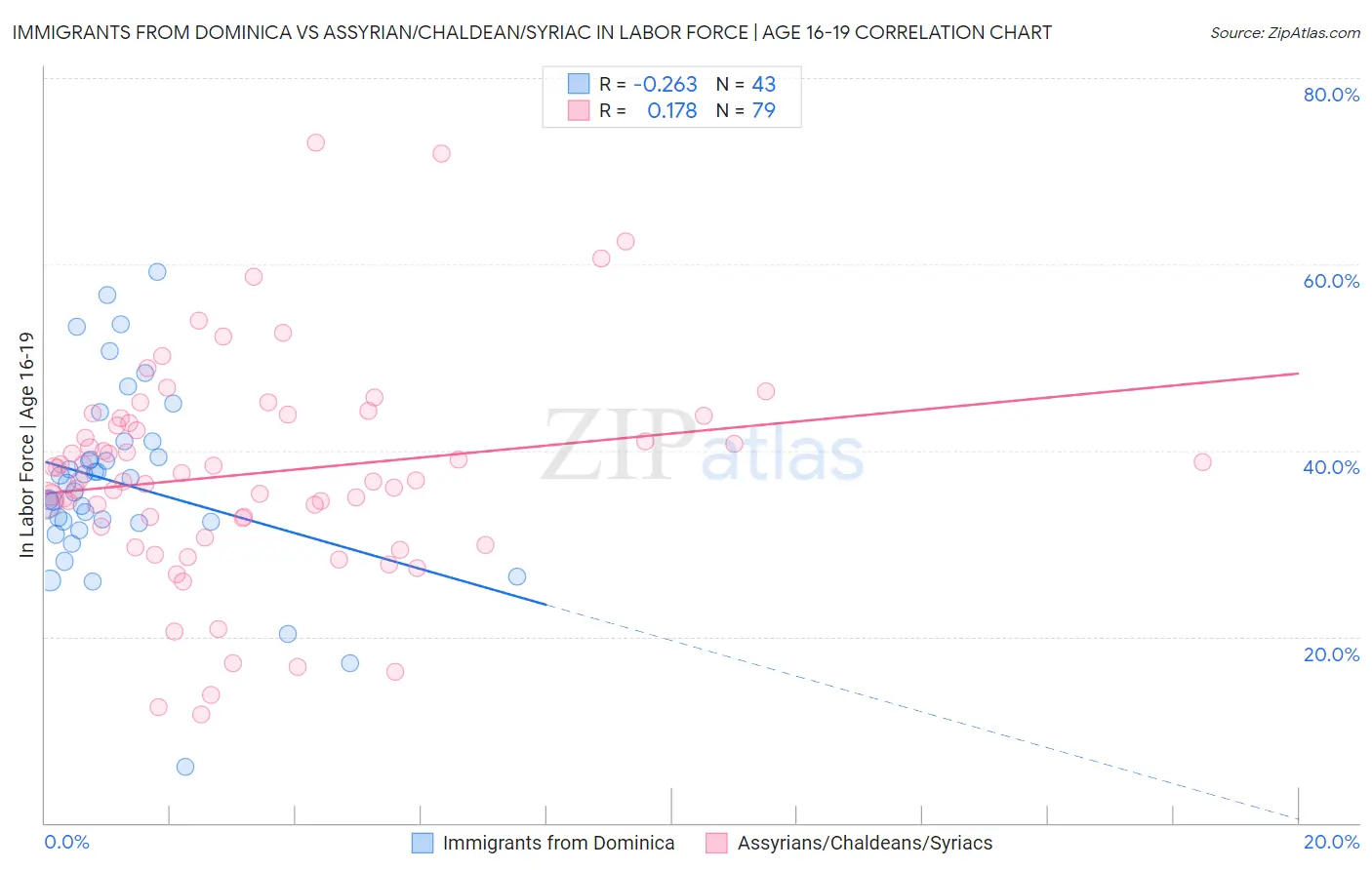 Immigrants from Dominica vs Assyrian/Chaldean/Syriac In Labor Force | Age 16-19