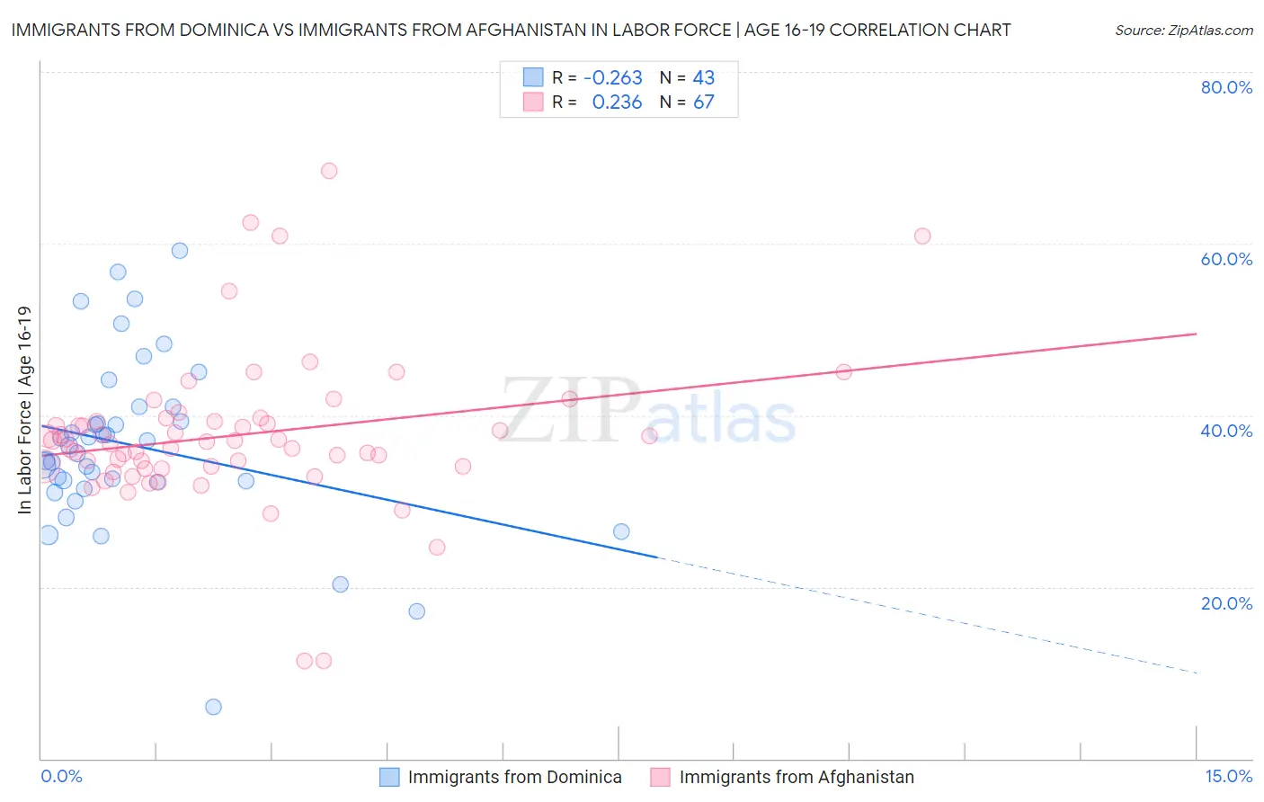 Immigrants from Dominica vs Immigrants from Afghanistan In Labor Force | Age 16-19