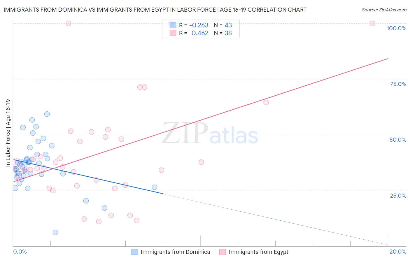 Immigrants from Dominica vs Immigrants from Egypt In Labor Force | Age 16-19