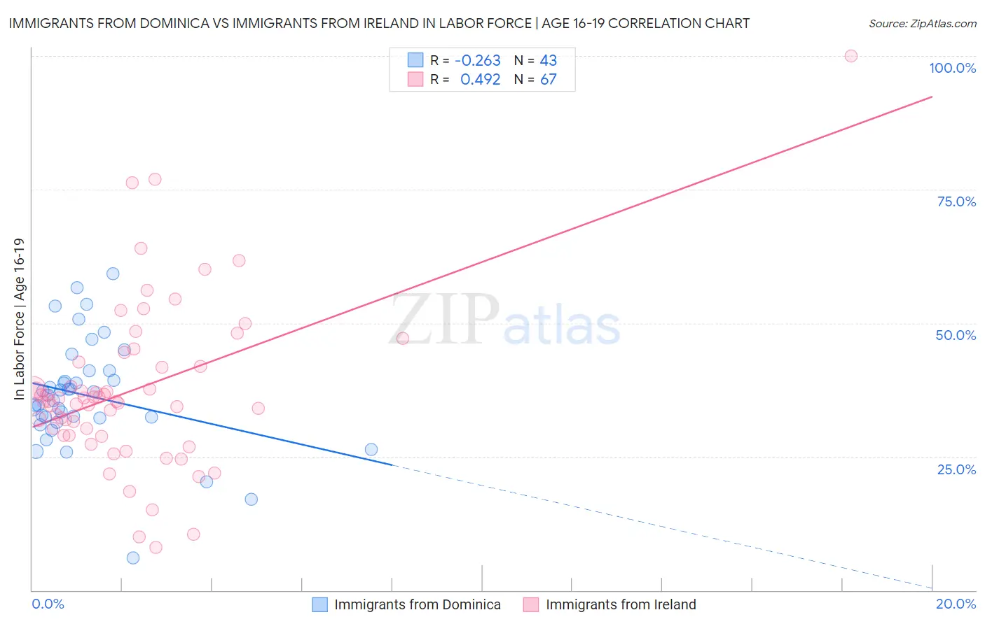 Immigrants from Dominica vs Immigrants from Ireland In Labor Force | Age 16-19