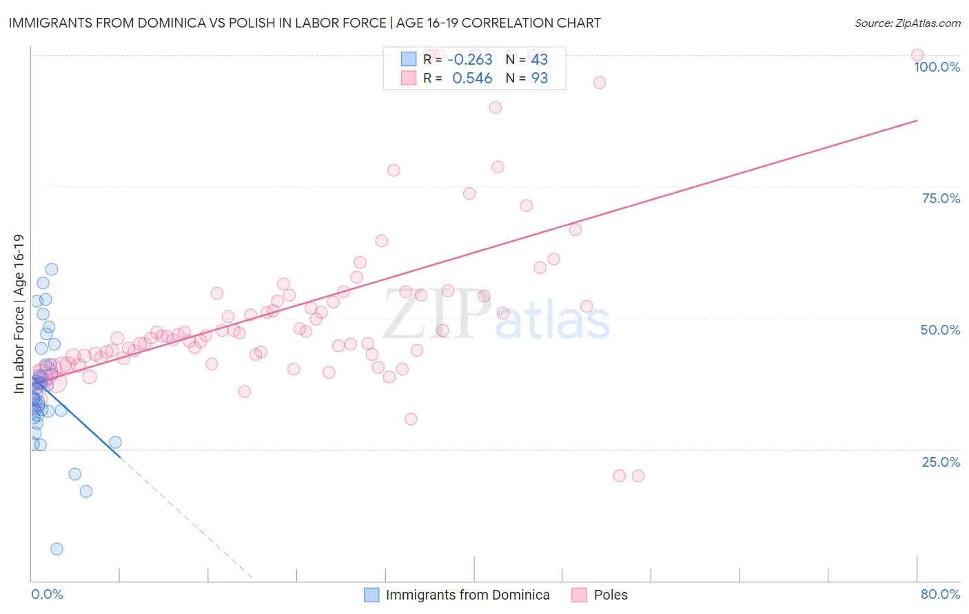 Immigrants from Dominica vs Polish In Labor Force | Age 16-19