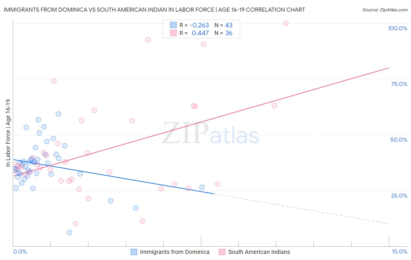 Immigrants from Dominica vs South American Indian In Labor Force | Age 16-19