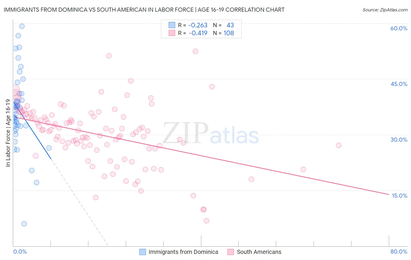 Immigrants from Dominica vs South American In Labor Force | Age 16-19