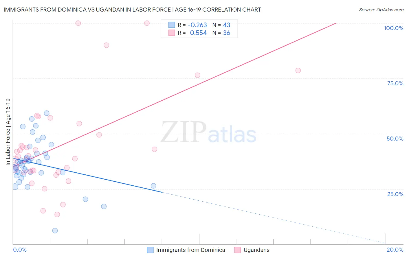 Immigrants from Dominica vs Ugandan In Labor Force | Age 16-19