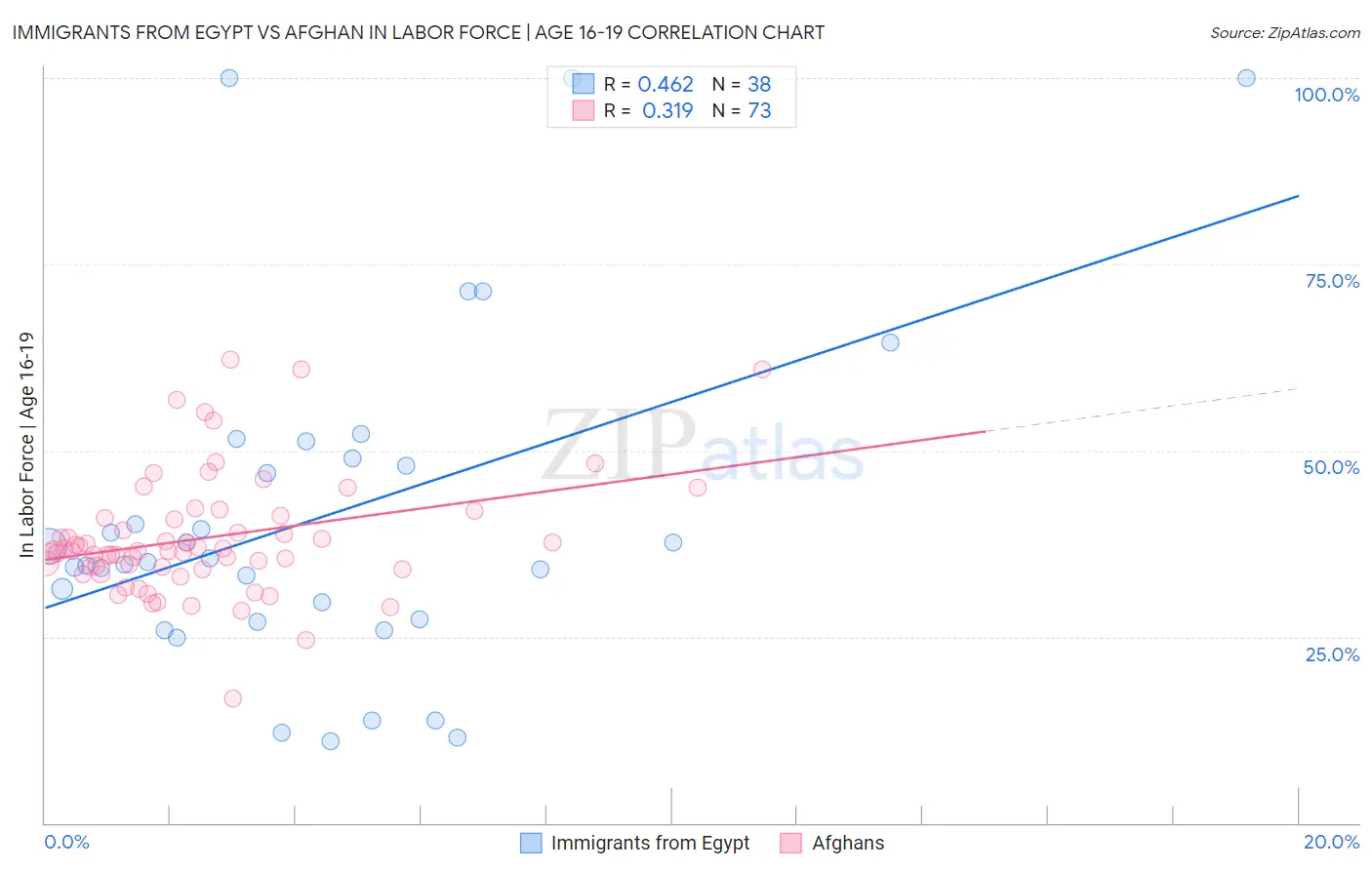 Immigrants from Egypt vs Afghan In Labor Force | Age 16-19