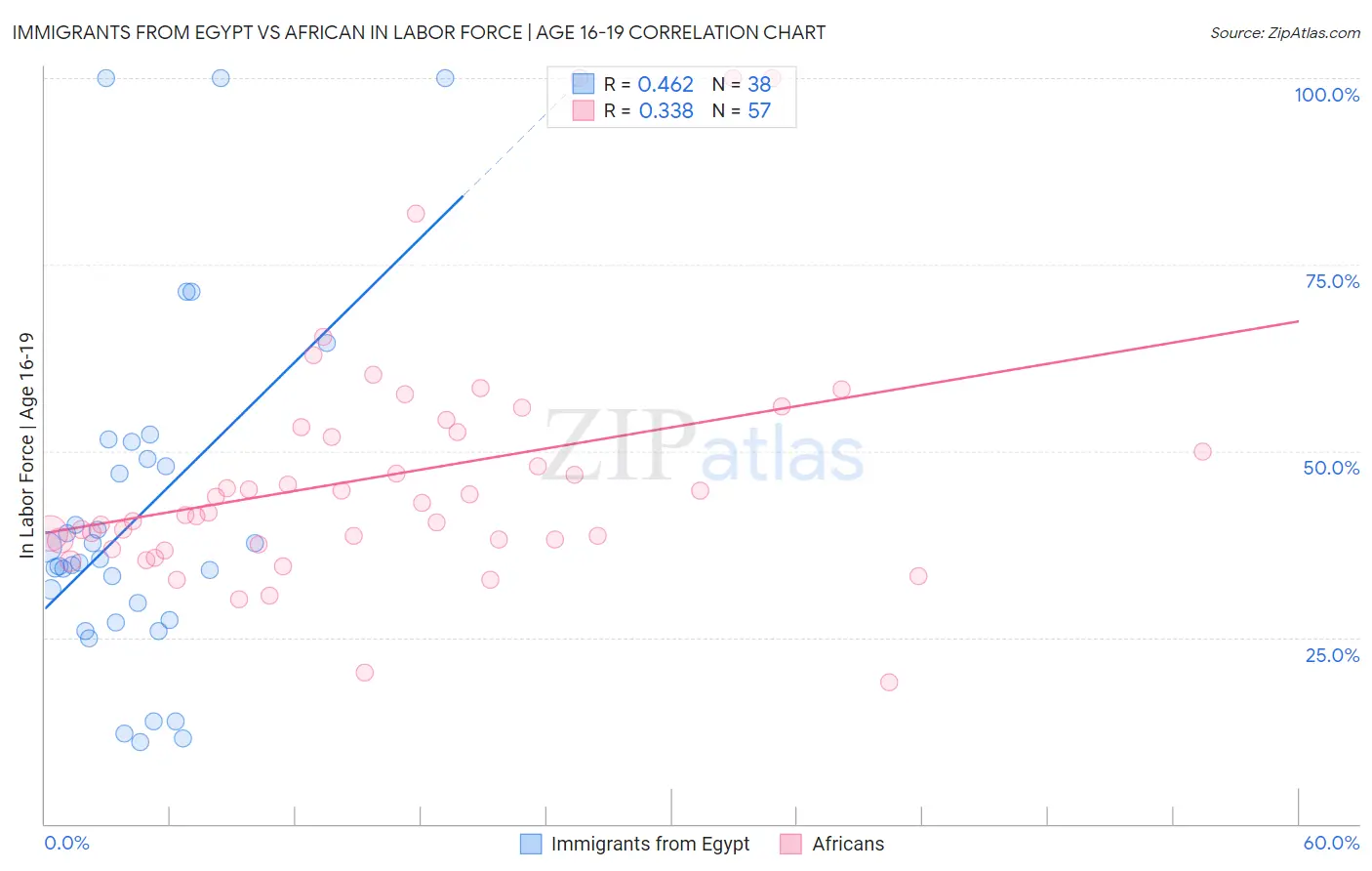 Immigrants from Egypt vs African In Labor Force | Age 16-19