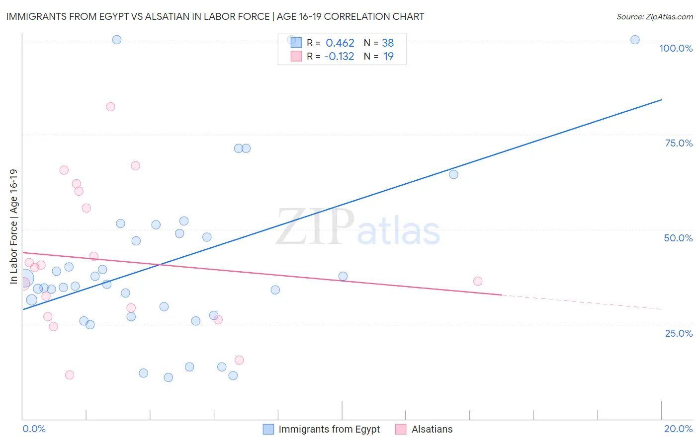 Immigrants from Egypt vs Alsatian In Labor Force | Age 16-19