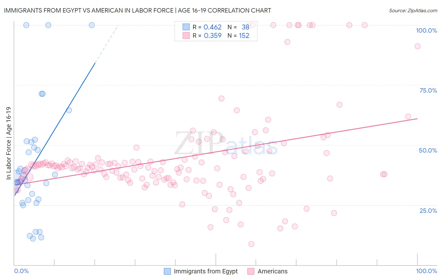 Immigrants from Egypt vs American In Labor Force | Age 16-19