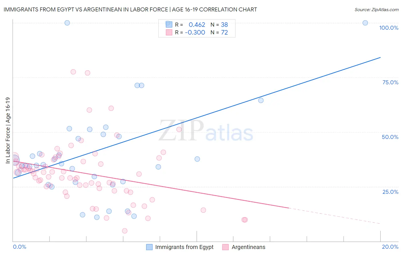 Immigrants from Egypt vs Argentinean In Labor Force | Age 16-19