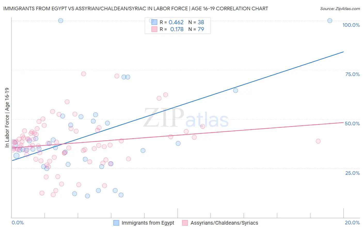 Immigrants from Egypt vs Assyrian/Chaldean/Syriac In Labor Force | Age 16-19