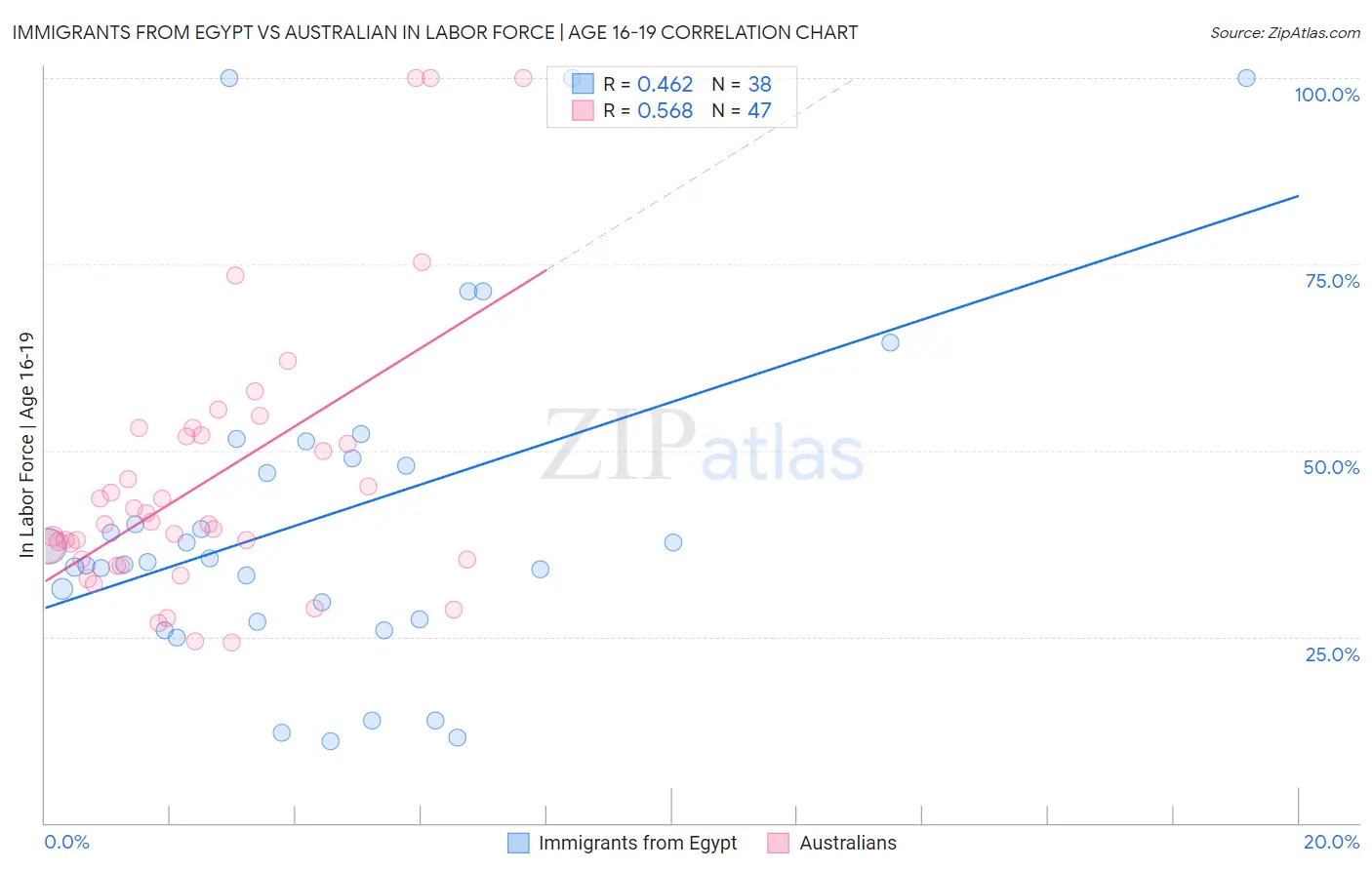 Immigrants from Egypt vs Australian In Labor Force | Age 16-19