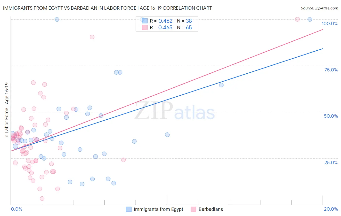 Immigrants from Egypt vs Barbadian In Labor Force | Age 16-19