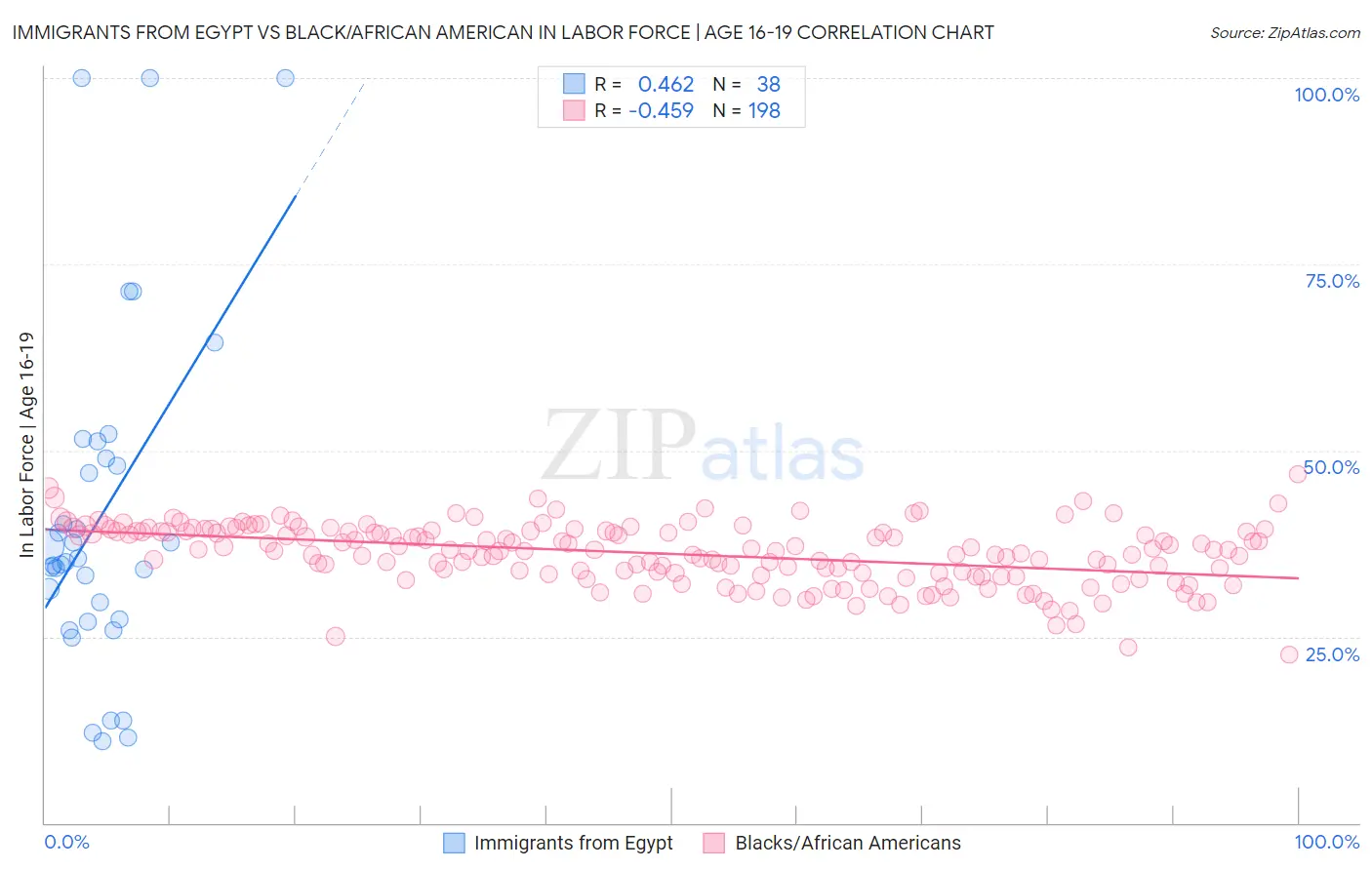 Immigrants from Egypt vs Black/African American In Labor Force | Age 16-19