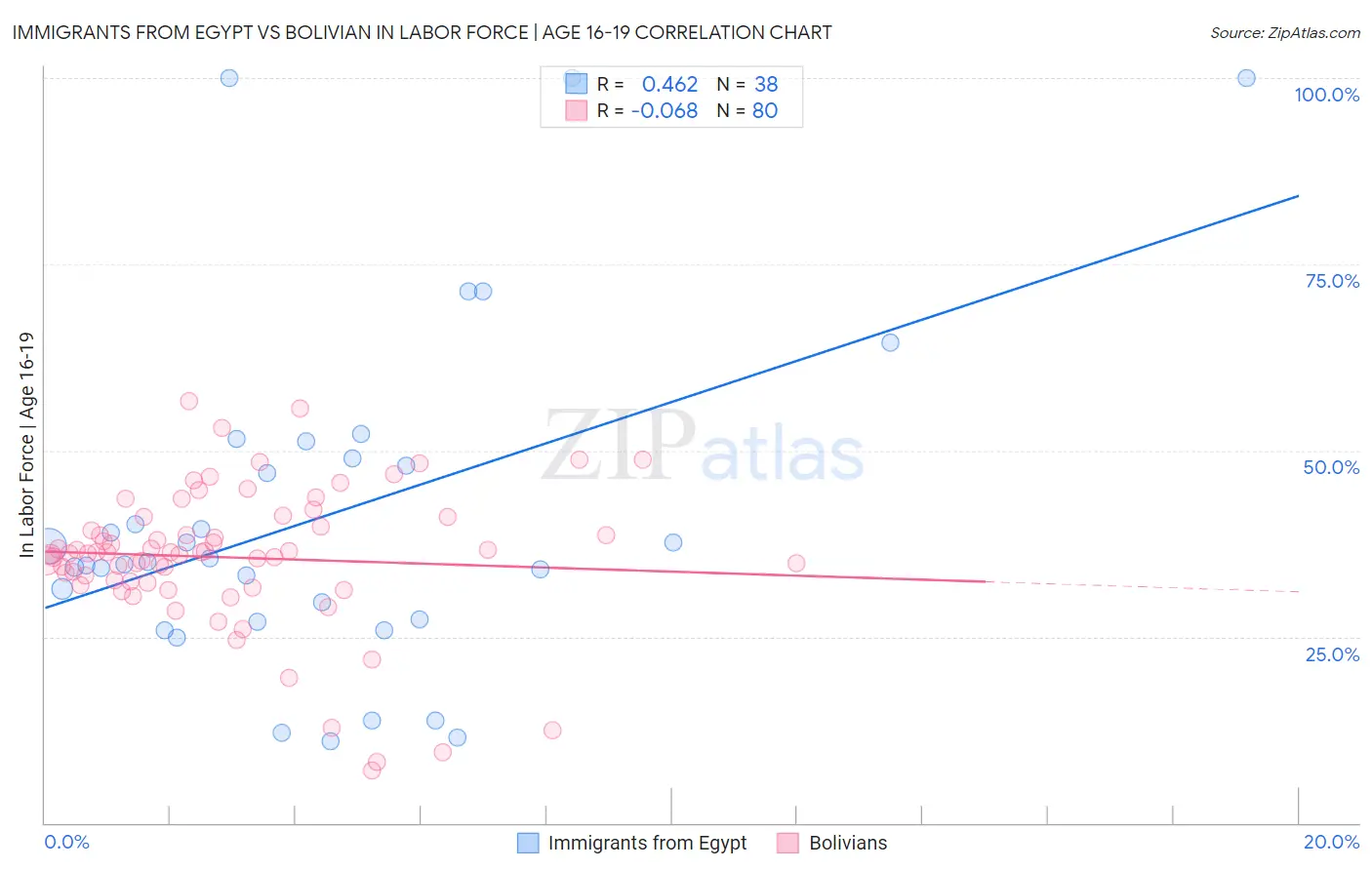 Immigrants from Egypt vs Bolivian In Labor Force | Age 16-19