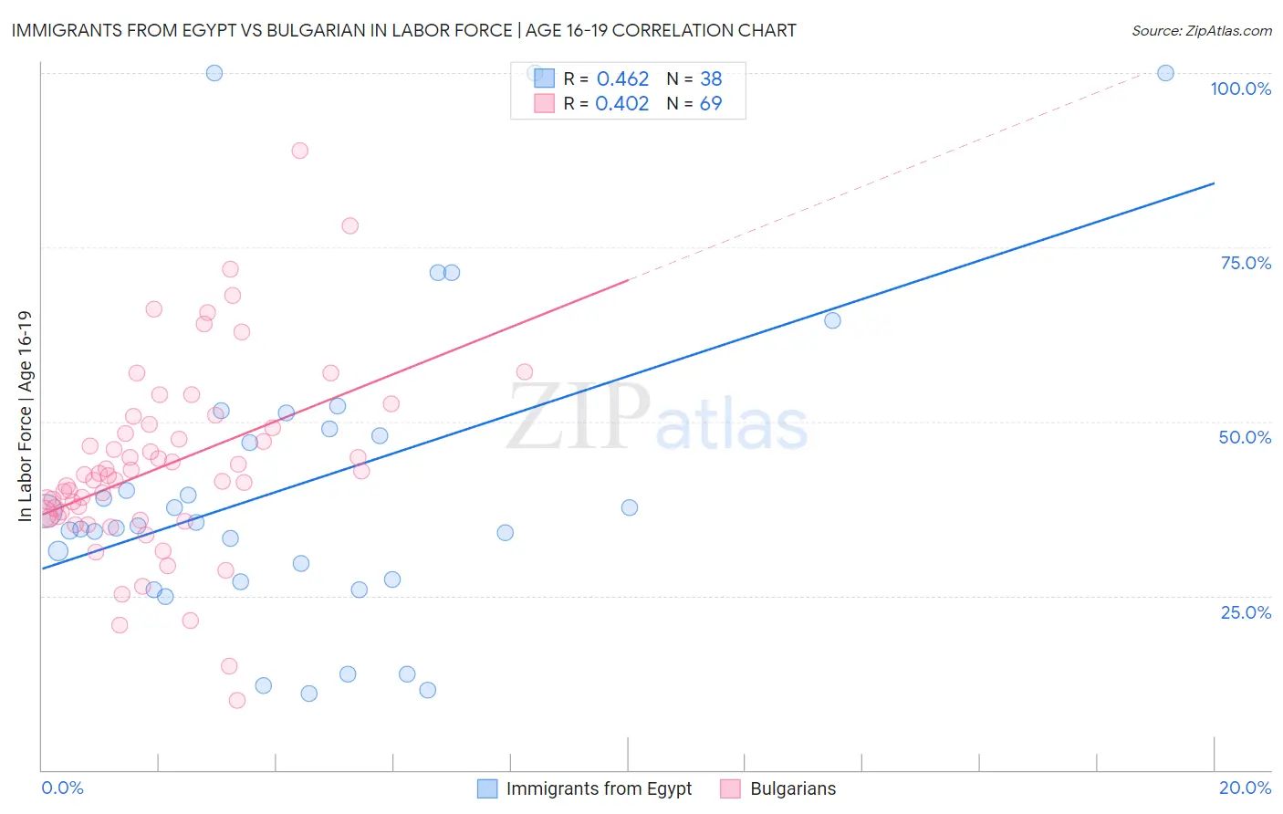 Immigrants from Egypt vs Bulgarian In Labor Force | Age 16-19