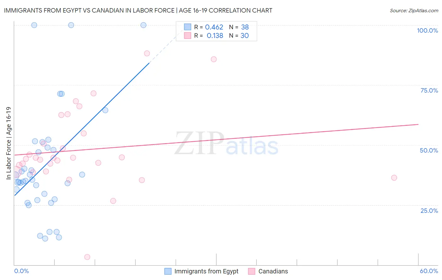 Immigrants from Egypt vs Canadian In Labor Force | Age 16-19