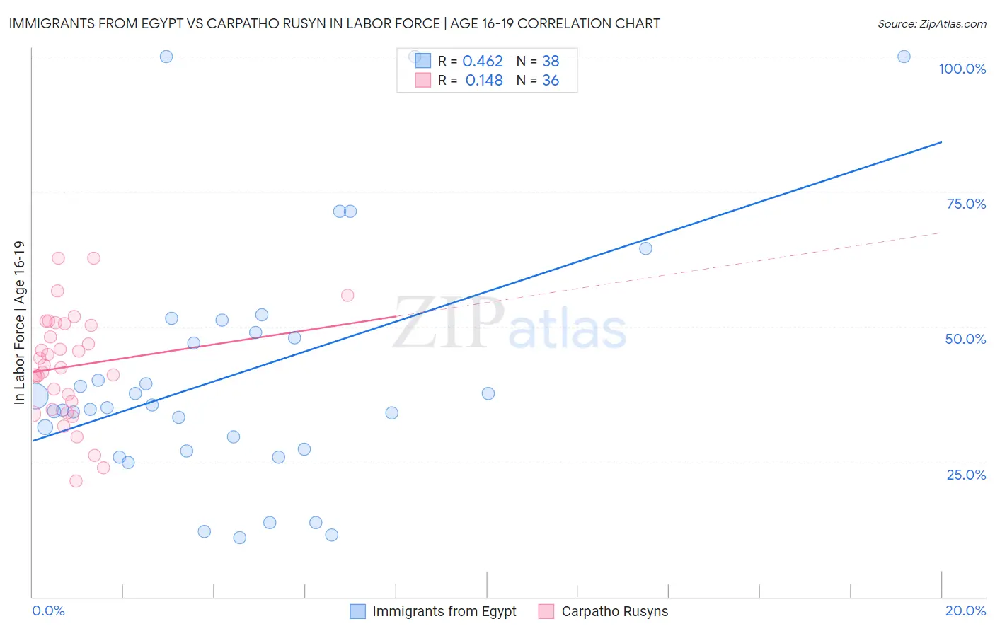 Immigrants from Egypt vs Carpatho Rusyn In Labor Force | Age 16-19