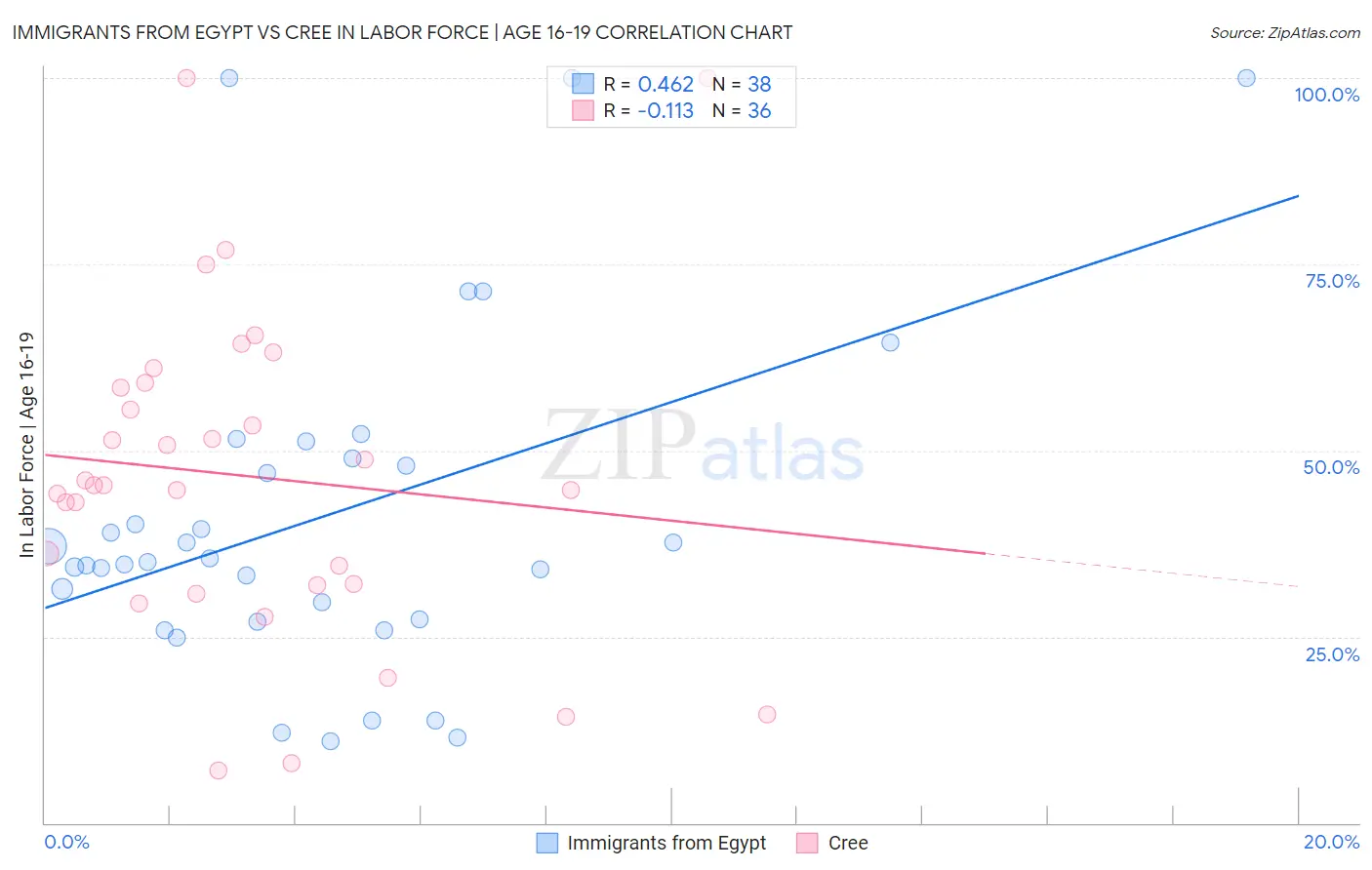 Immigrants from Egypt vs Cree In Labor Force | Age 16-19