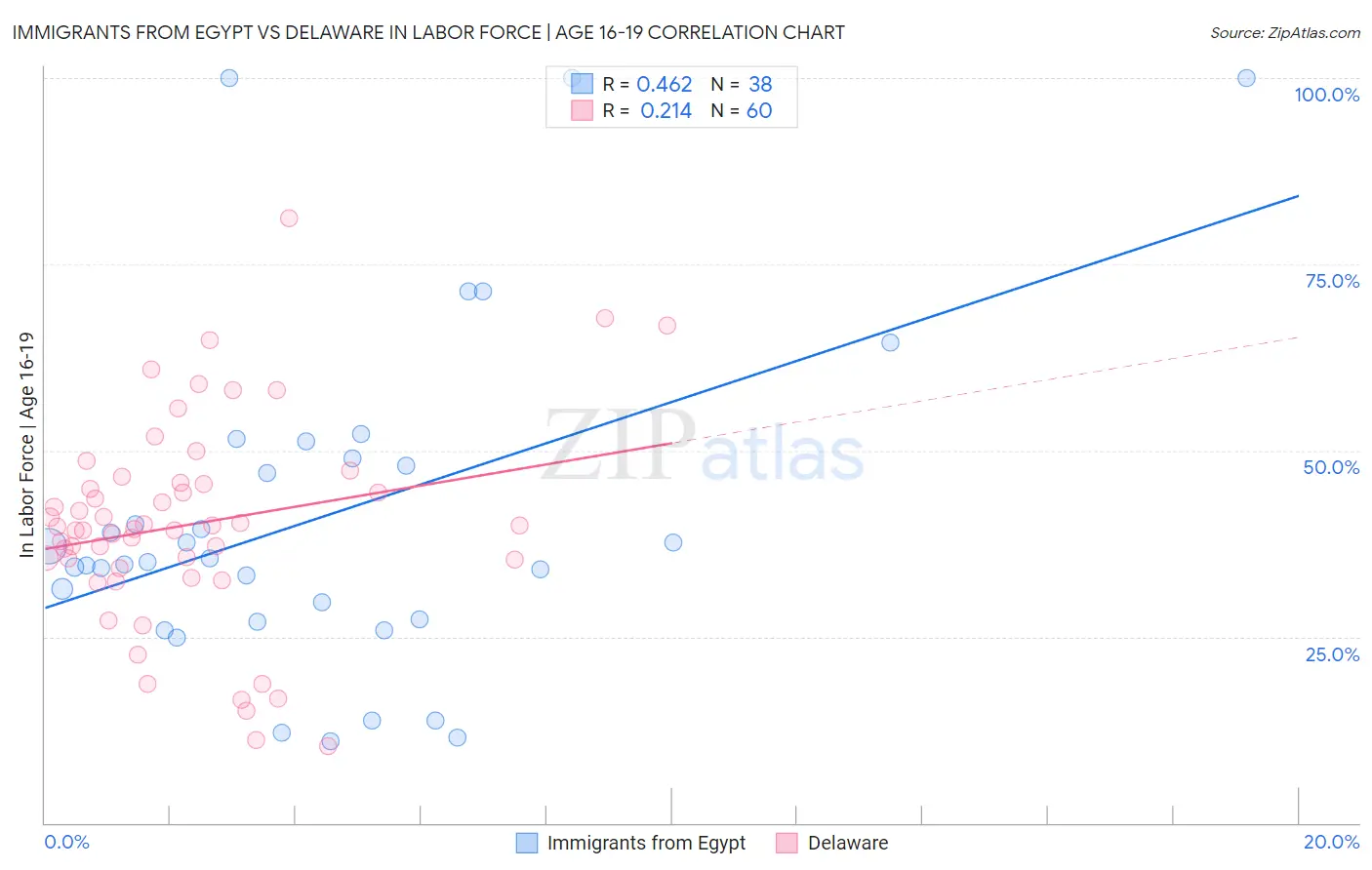 Immigrants from Egypt vs Delaware In Labor Force | Age 16-19