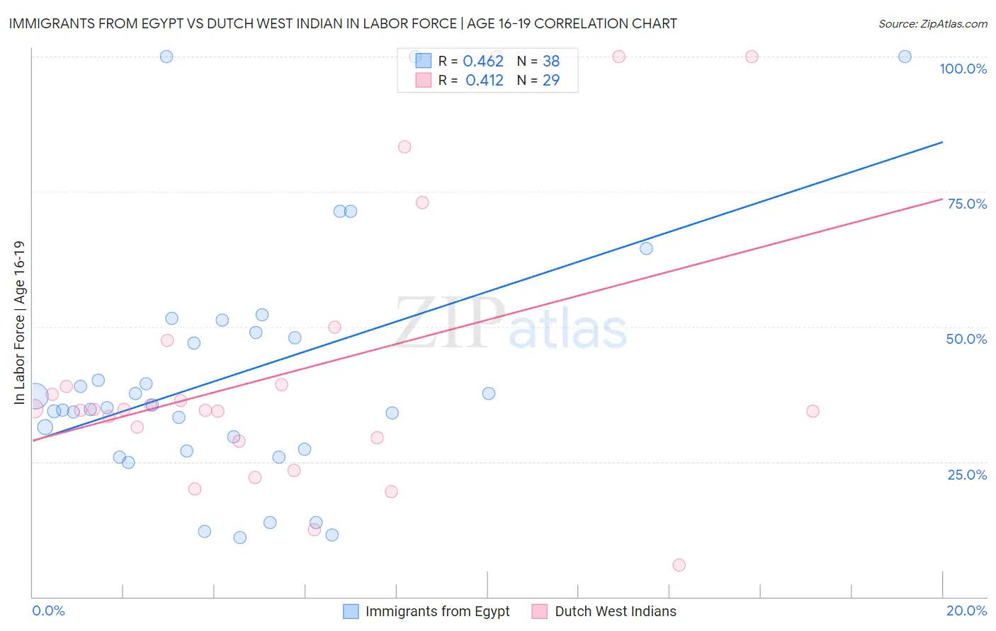 Immigrants from Egypt vs Dutch West Indian In Labor Force | Age 16-19