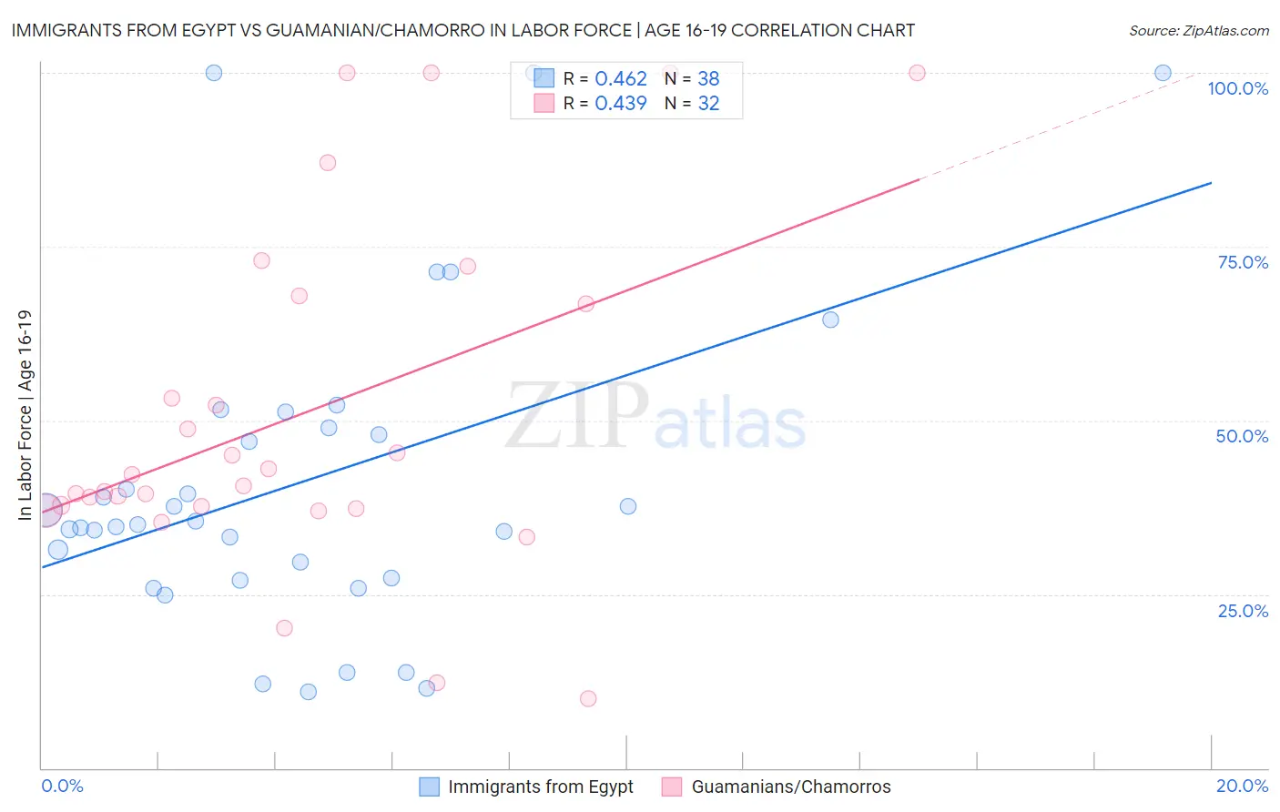 Immigrants from Egypt vs Guamanian/Chamorro In Labor Force | Age 16-19