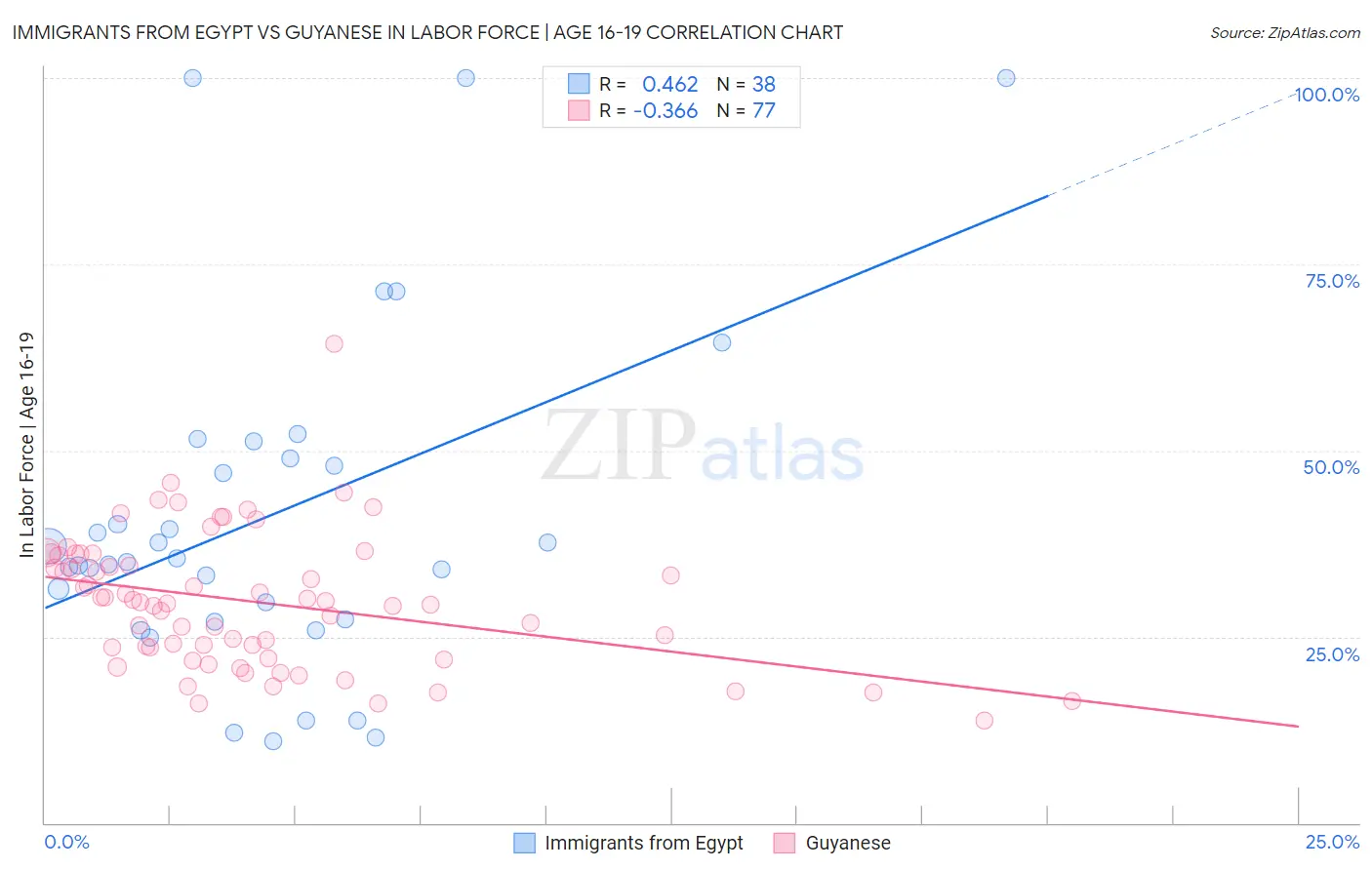 Immigrants from Egypt vs Guyanese In Labor Force | Age 16-19