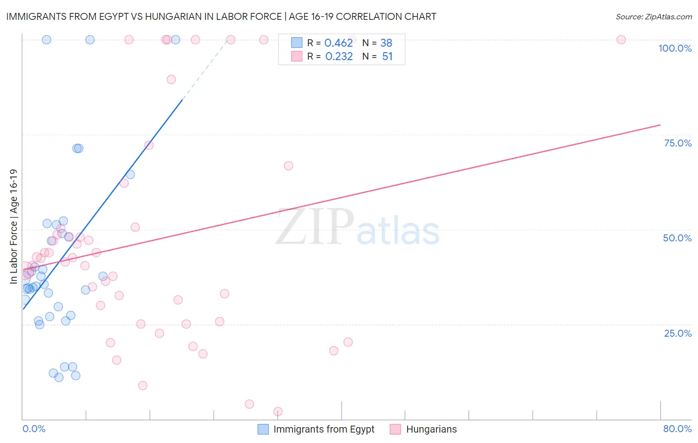 Immigrants from Egypt vs Hungarian In Labor Force | Age 16-19