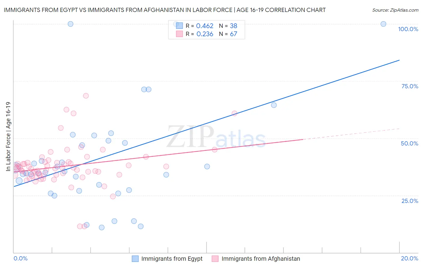 Immigrants from Egypt vs Immigrants from Afghanistan In Labor Force | Age 16-19