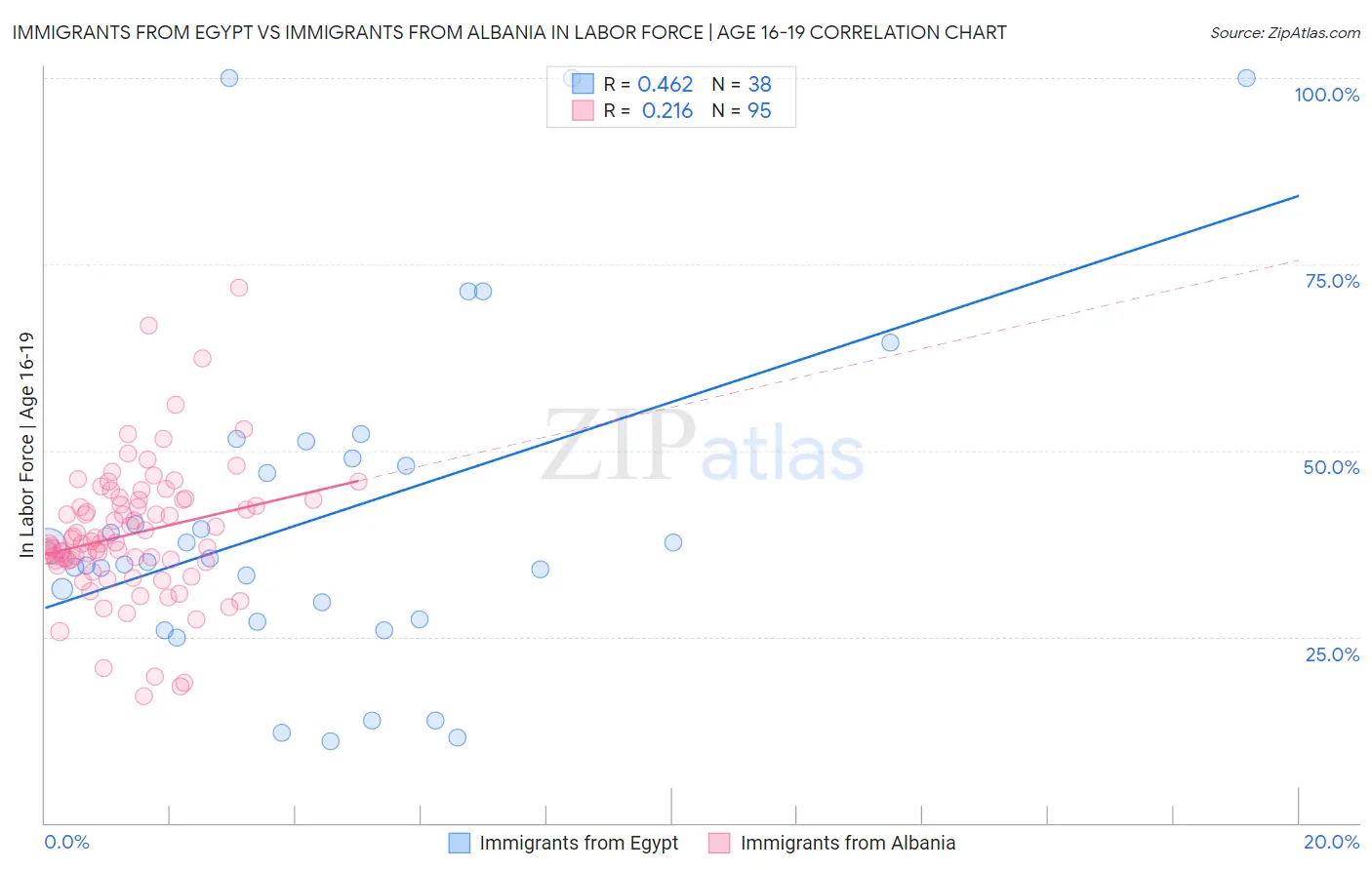 Immigrants from Egypt vs Immigrants from Albania In Labor Force | Age 16-19