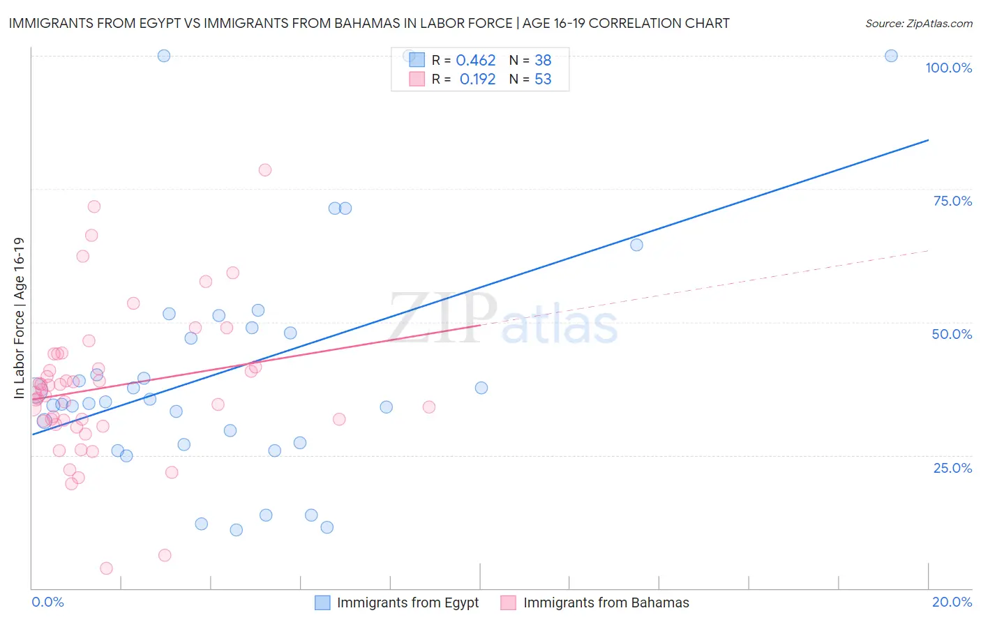 Immigrants from Egypt vs Immigrants from Bahamas In Labor Force | Age 16-19