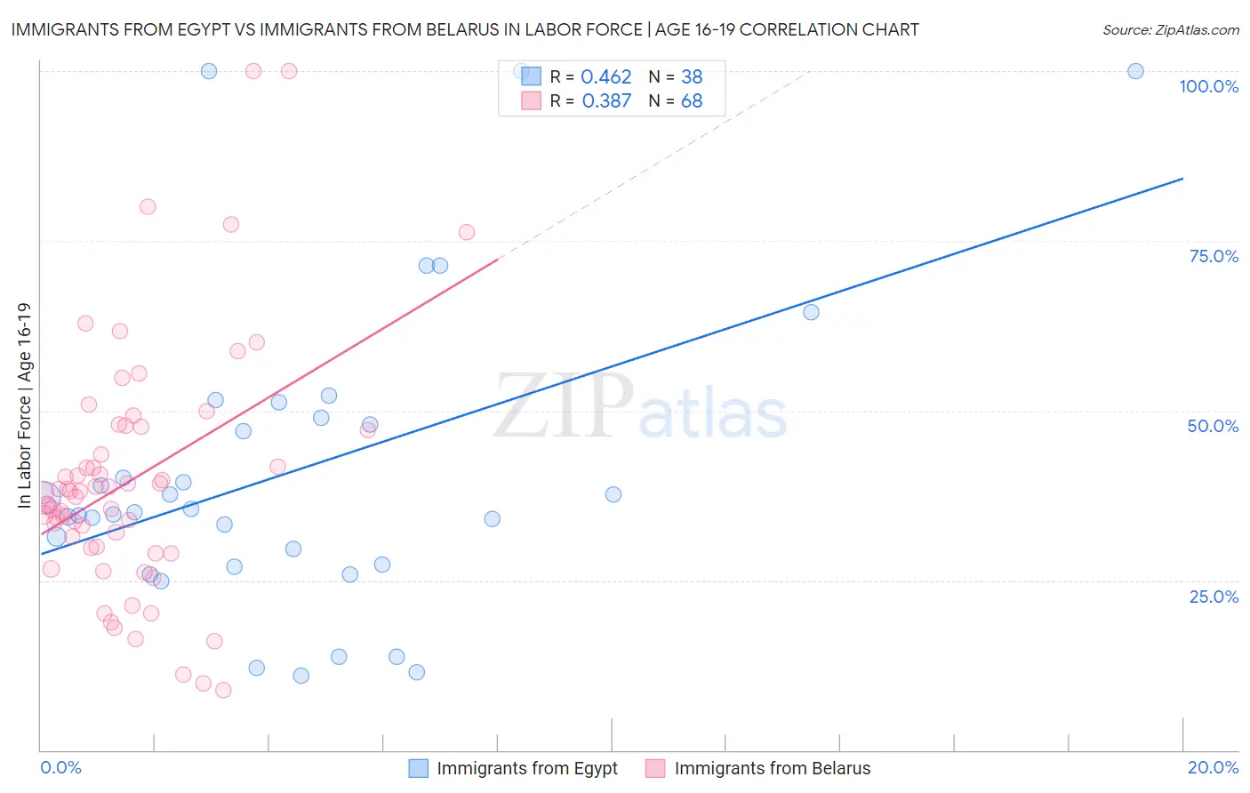 Immigrants from Egypt vs Immigrants from Belarus In Labor Force | Age 16-19