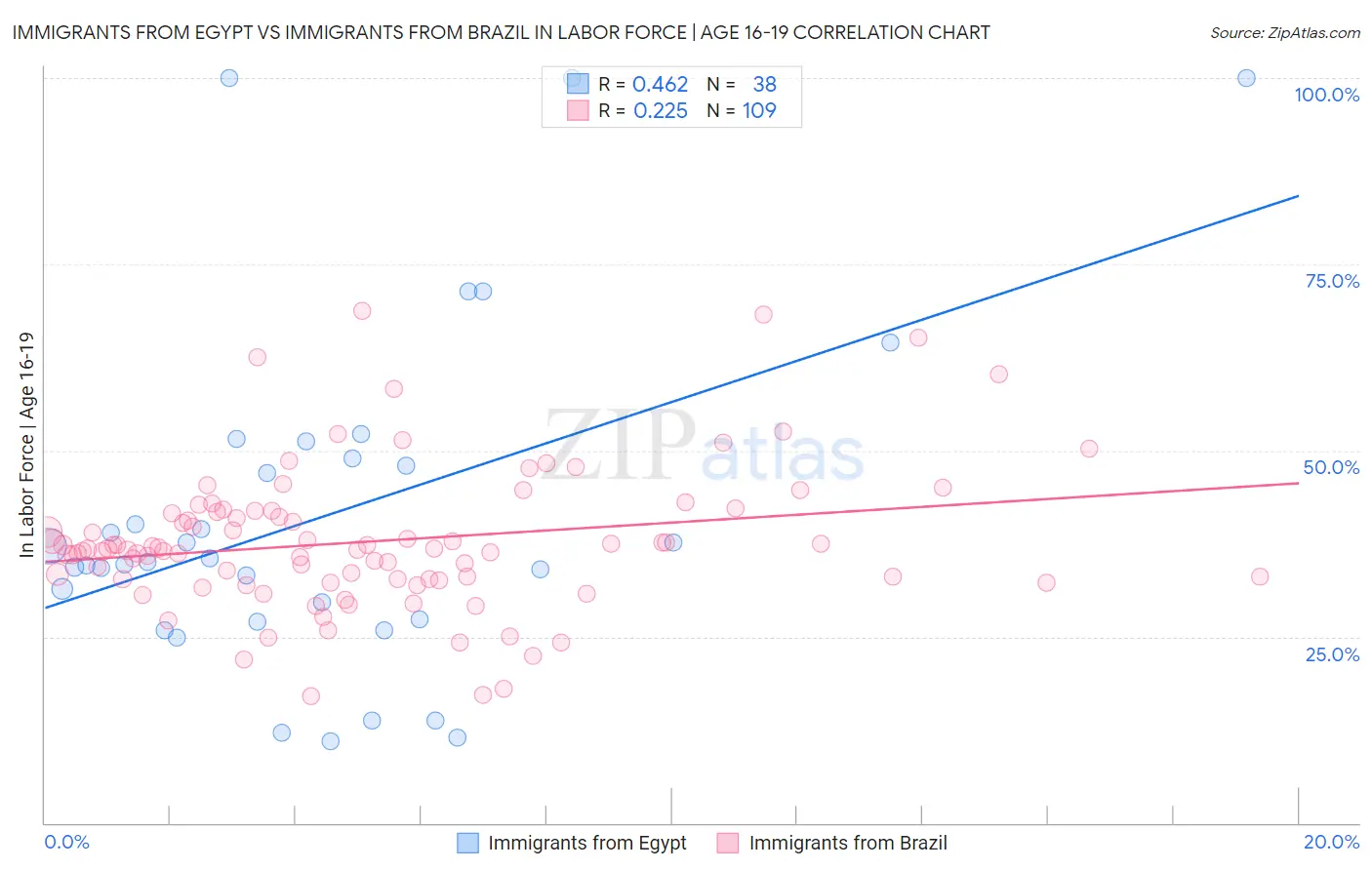 Immigrants from Egypt vs Immigrants from Brazil In Labor Force | Age 16-19