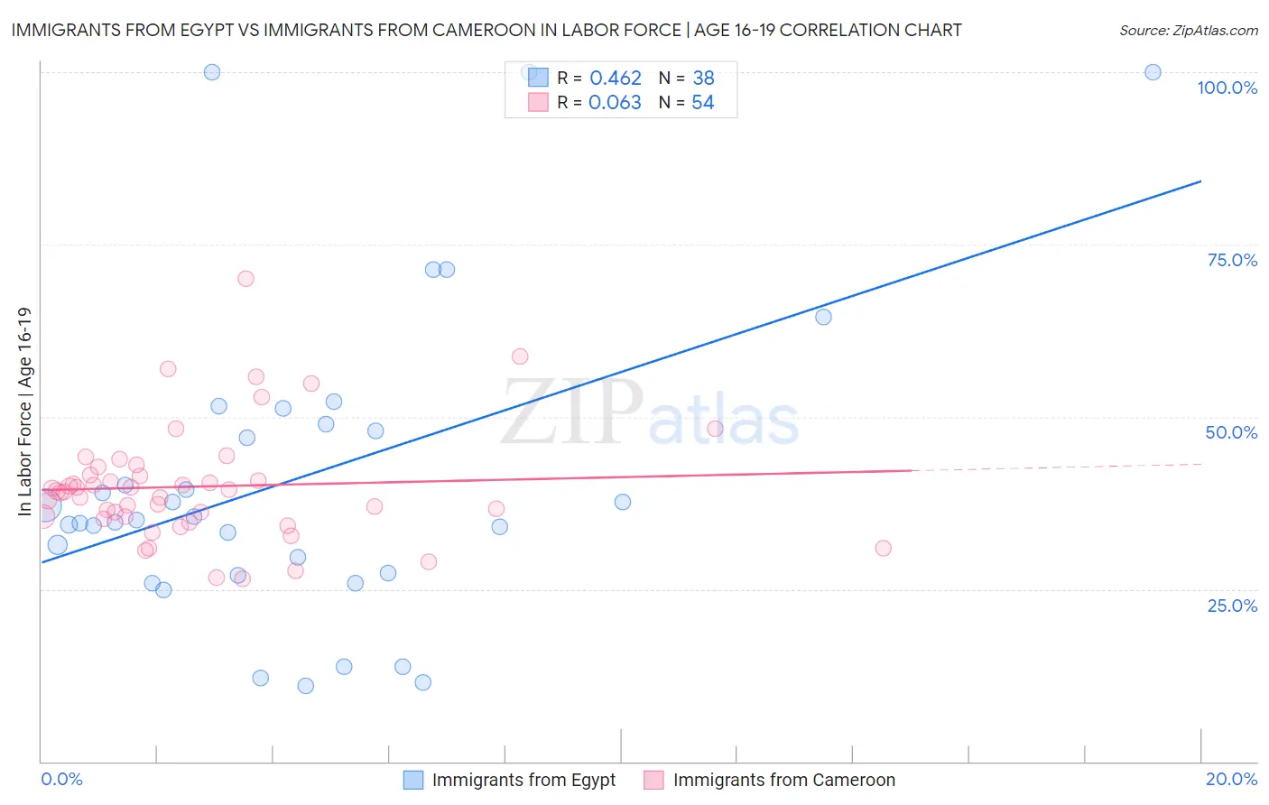 Immigrants from Egypt vs Immigrants from Cameroon In Labor Force | Age 16-19