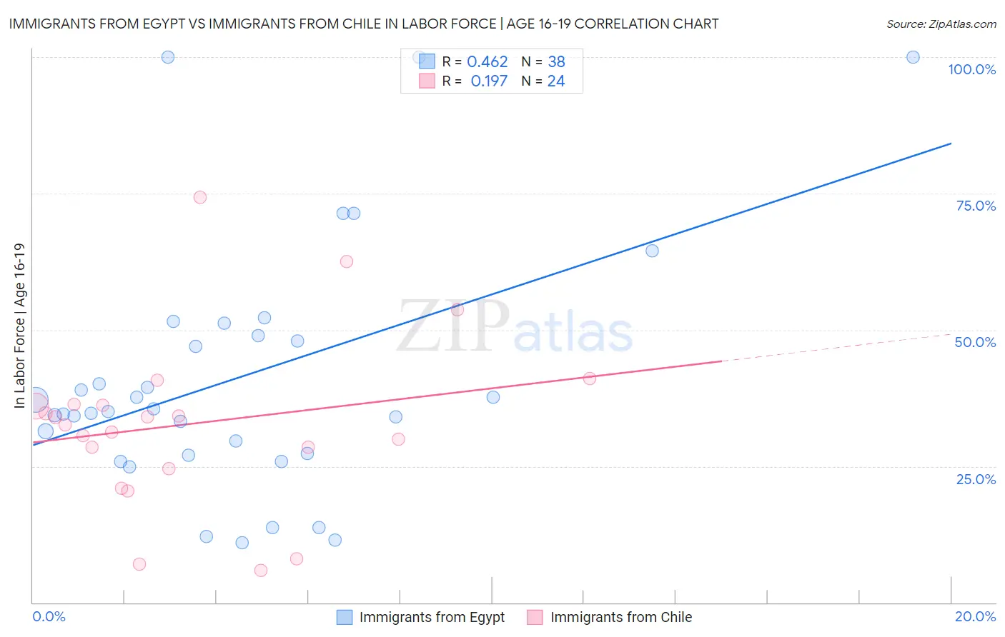 Immigrants from Egypt vs Immigrants from Chile In Labor Force | Age 16-19