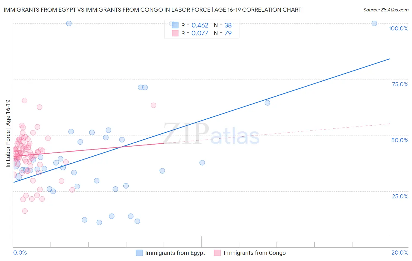 Immigrants from Egypt vs Immigrants from Congo In Labor Force | Age 16-19